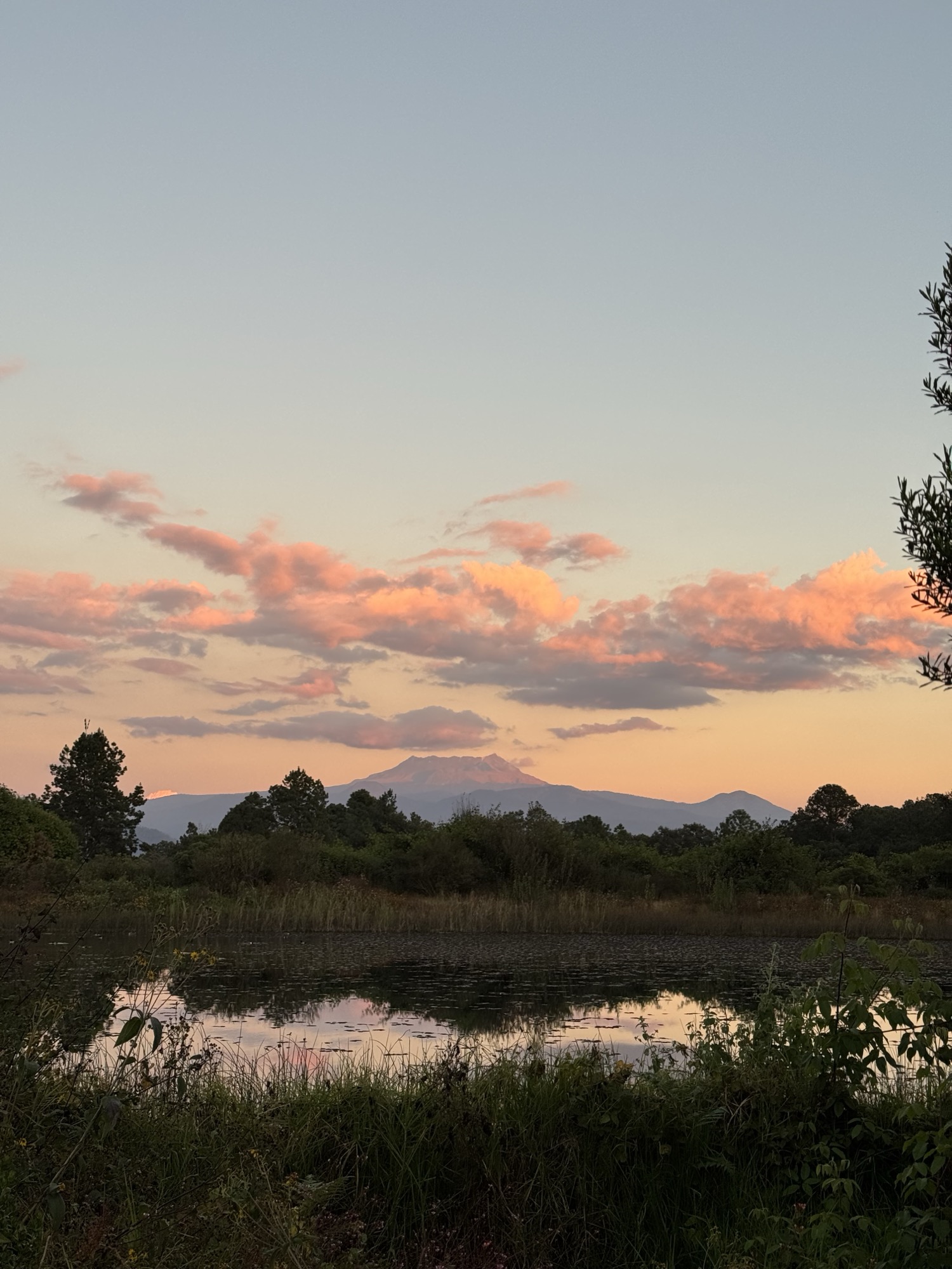 A mountain lake at sunset, pink clouds reflected in the still water